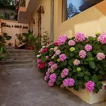 Orchidea Hotel 3*