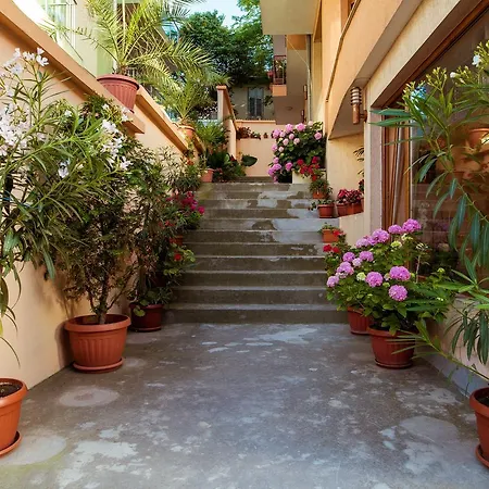 Orchidea فندق 3*