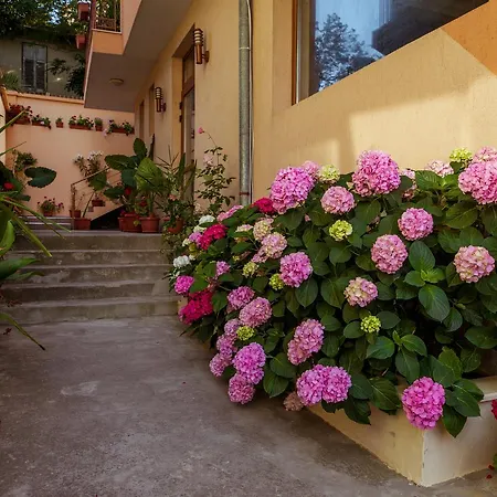 Orchidea فندق 3*